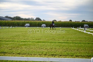 20241006-dsc_0425-standard-zubjb2.jpg