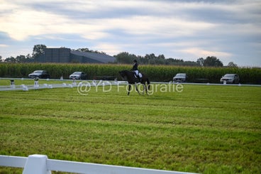 20241006-dsc_0482-standard-fgsnqm.jpg