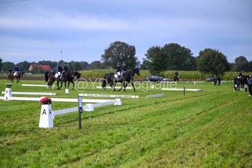 20241006-dsc_0486-standard-cjdnmp.jpg
