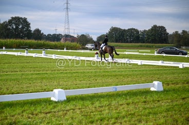 20241006-dsc_0500-standard-fik6w4.jpg
