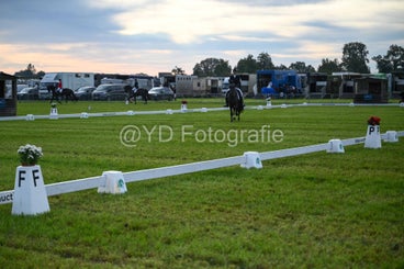 20241006-dsc_0554-standard-35gjx2.jpg