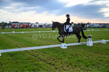 20241006-dsc_0563-standard-mrlgeq.jpg