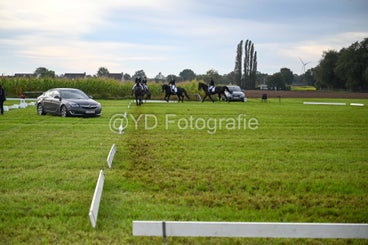 20241006-dsc_0619-standard-ms500z.jpg