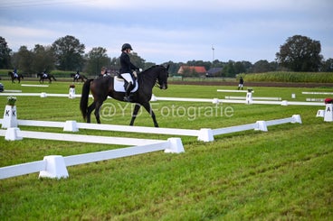 20241006-dsc_0638-standard-rtrya8.jpg