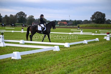 20241006-dsc_0639-standard-ifsh6d.jpg