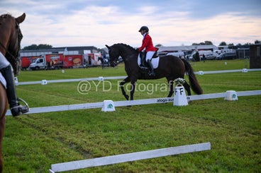 20241006-dsc_0740-standard-deswxa.jpg