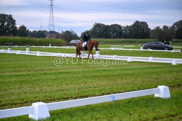 20241006-dsc_0793-standard-4woqdo.jpg