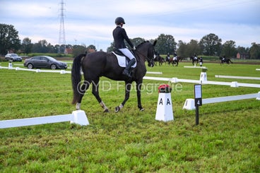 20241006-dsc_0814-standard-bmrsff.jpg
