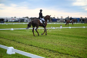 20241006-dsc_0819-standard-u8o1pv.jpg