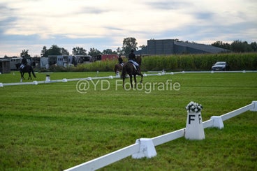 20241006-dsc_0828-standard-is4vbc.jpg