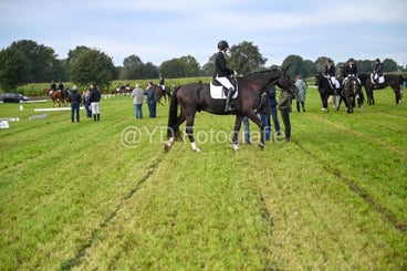 20241006-dsc_0865-standard-bksndb.jpg