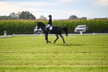 20241006-dsc_0915-standard-q58jww.jpg