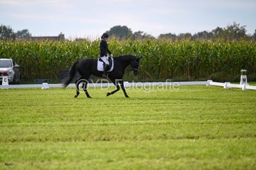 20241006-dsc_0939-standard-blkm6m.jpg