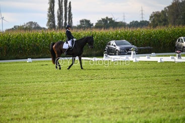 20241006-dsc_1005-standard-n07ju8.jpg