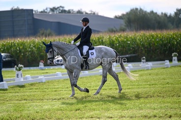 20241006-dsc_1030-standard-2t9ruu.jpg