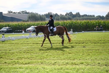 20241006-dsc_1044-standard-j1jb92.jpg