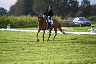 20241006-dsc_1052-standard-wwsb3a.jpg