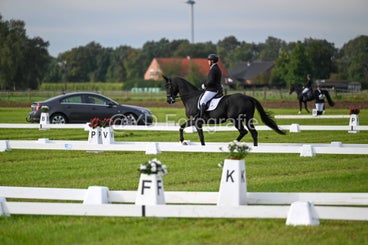 20241006-dsc_1068-standard-4cp010.jpg