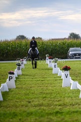 20241006-dsc_1075-standard-1dx4v3.jpg