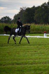 20241006-dsc_1149-standard-1c0vg3.jpg