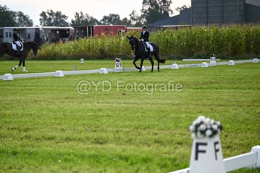 20241006-dsc_1207-standard-v54f2p.jpg