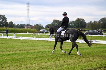 20241006-dsc_1222-standard-2gqwcz.jpg