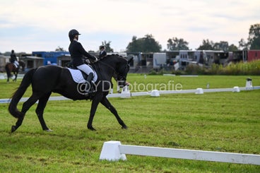 20241006-dsc_1298-standard-1h8eql.jpg