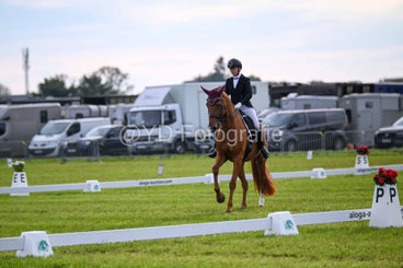 20241006-dsc_1300-standard-9xj84y.jpg