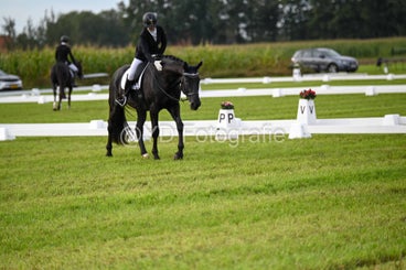 20241006-dsc_1336-standard-hje4wn.jpg