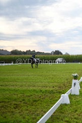 20241006-dsc_1368-standard-jcr2tr.jpg