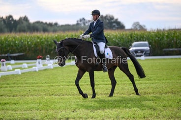 20241006-dsc_1430-standard-6o04t2.jpg