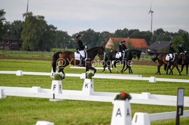 20241006-dsc_1439-standard-ebrmg2.jpg