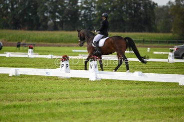 20241006-dsc_1455-standard-geji3s.jpg