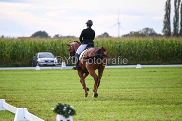 20241006-dsc_1458-standard-t7g1c2.jpg