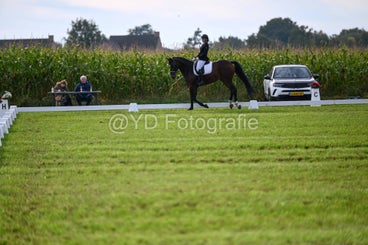 20241006-dsc_1515-standard-fat3rz.jpg