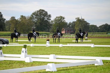 20241006-dsc_1533-standard-jrr10b.jpg