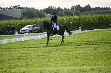 20241006-dsc_1551-standard-b0scdq.jpg