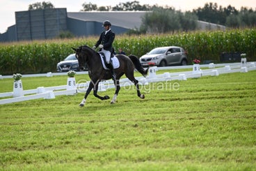 20241006-dsc_1555-standard-hjud1t.jpg