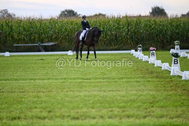 20241006-dsc_1651-standard-8ehqiz.jpg