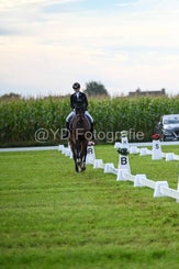 20241006-dsc_1653-standard-uh27qw.jpg