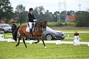 20241006-dsc_1856-standard-lu038a.jpg