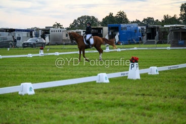 20241006-dsc_1900-standard-du2qlz.jpg