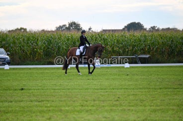 20241006-dsc_1956-standard-j9uy9g.jpg
