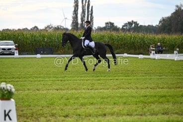 20241006-dsc_2003-standard-72u0di.jpg