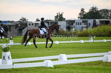 20241006-dsc_2027-standard-34zddi.jpg
