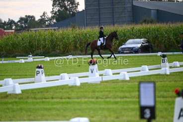 20241006-dsc_2044-standard-vdyy31.jpg