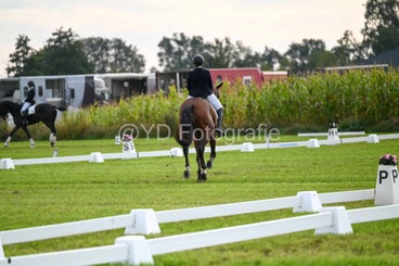 20241006-dsc_2055-standard-p134g6.jpg