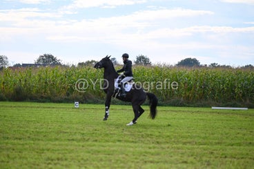 20241006-dsc_2075-standard-r1v69m.jpg