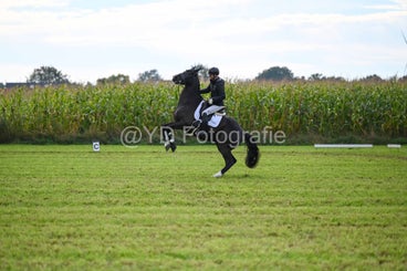 20241006-dsc_2076-standard-5xp0y4.jpg
