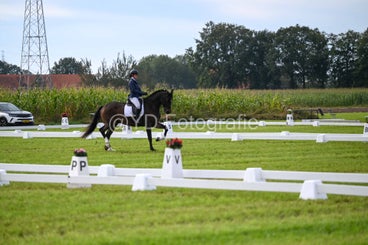 20241006-dsc_2098-standard-z7jtbw.jpg